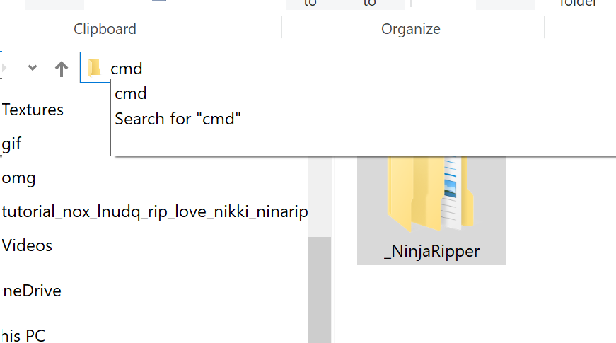 Entering CMD into File Explorer search bar / omnibox
